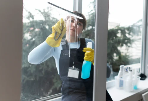 Nettoyage de vitres intérieures et extérieures à Lignerolles